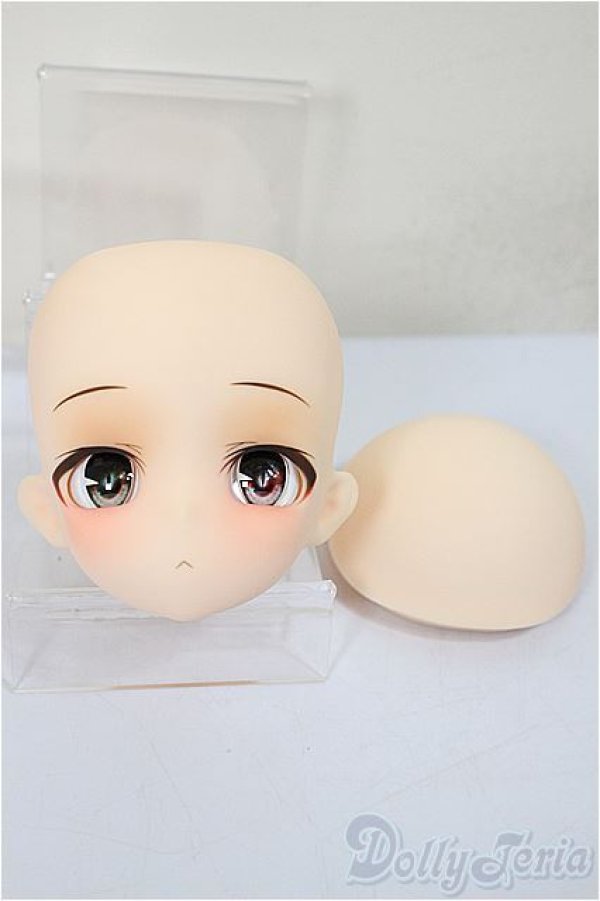 画像1: DOLLBOT/DBC-M 晴斗（はると）　＃０２ヘッドのみ/ A-25-06-04-344-NY-ZA (1)