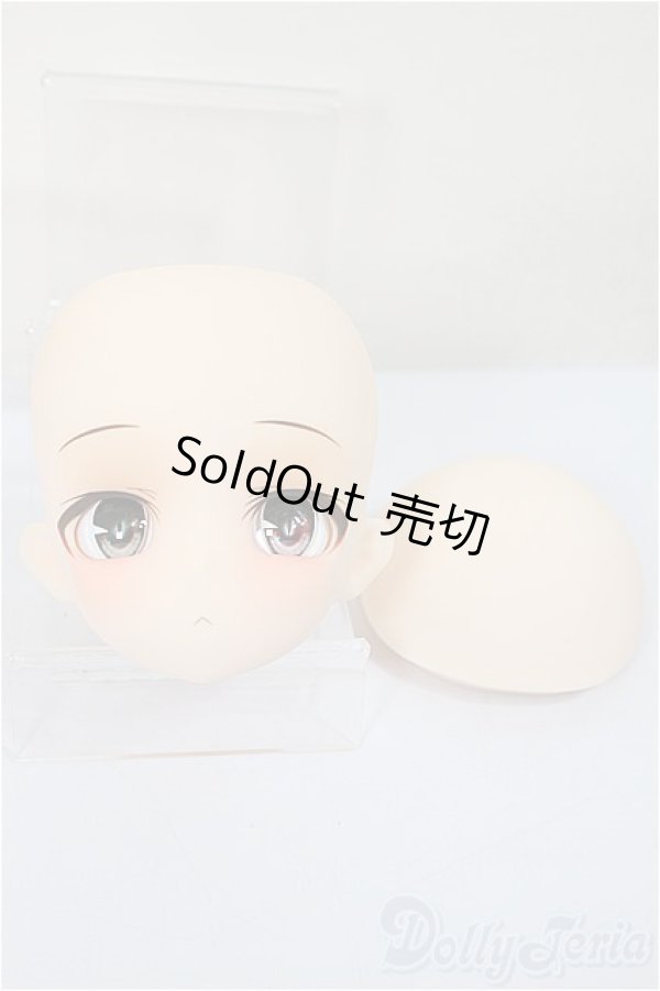 画像1: DOLLBOT/DBC-M 晴斗（はると）　＃０２ヘッドのみ/ A-25-06-04-344-NY-ZA (1)