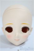 画像1: DD/DDH-09 /BJD　球体関節人形 A-25-06-04-259-NY-ZA (1)