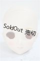 画像: DD/DDH-09 /BJD　球体関節人形 A-25-06-04-259-NY-ZA