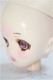 画像3: DD/DDH-08:ヘッド/BJD　球体関節人形 A-25-06-04-260-NY-ZA (3)