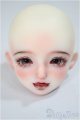 画像: Fatemoons/1/4 密糖ヘッド/BJD　球体関節人形 A-25-06-04-253-NY-ZA