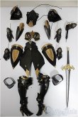 画像1: MDD/暗黒騎士セット/0 A-25-06-04-352-NY-ZA (1)