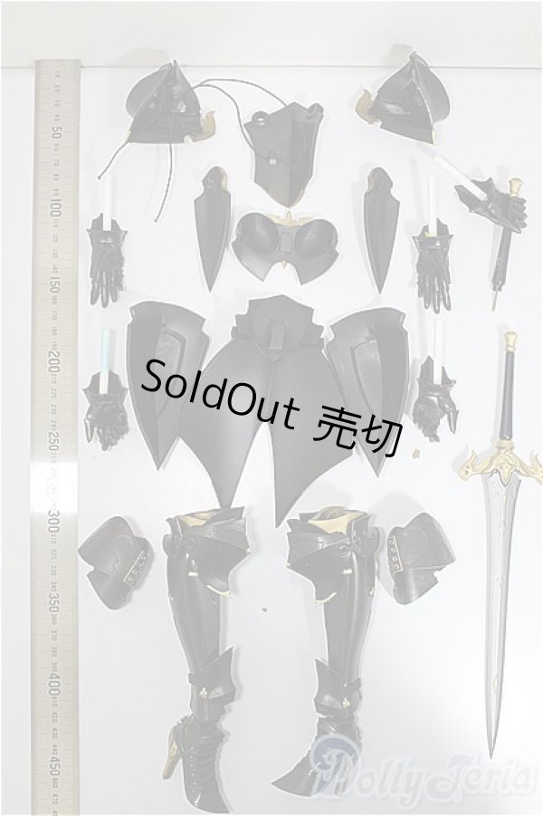 画像2: MDD/暗黒騎士セット/0 A-25-06-04-352-NY-ZA (2)