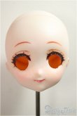 画像1: DDH-22/カスタムヘッド/BJD　球体関節人形 A-25-06-04-376-NY-ZA (1)