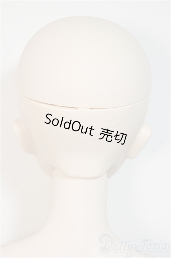 画像5: DD/遠坂凜/BJD　球体関節人形 A-25-06-18-201-NY-ZA (5)