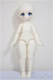 画像5: TinyFox/Lunar Fox/ A-25-06-18-108-NY-ZA (5)