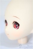 画像3: パラボックス/姉姫ヘッド/ A-25-06-25-112-NY-ZA (3)