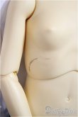画像9: SD女の子/ナナスウィートドリーム/BJD　球体関節人形 A-25-06-18-300-KD-ZA (9)