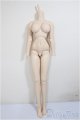 画像: DD/ベースボディII/BJD　球体関節人形 A-25-06-18-373-NY-ZA