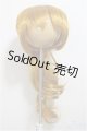 画像: 9-10inch/ウィッグ　DOLLCE製/インチ　BJD　MJD　ドール用 A-25-06-25-276-NY-ZA