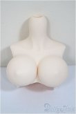 画像1: DDｄｙ/上半身パーツ/ A-25-06-18-266-NY-ZA (1)