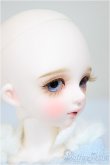 画像3: Dolly House/Rosemary A type 31cm Girl Doll/ A-25-06-18-252-KD-ZA (3)