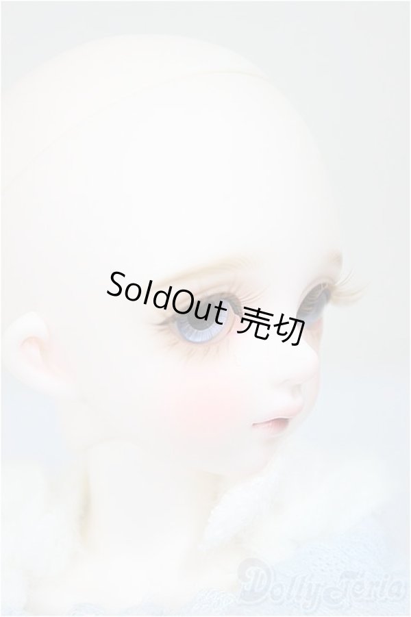 画像3: Dolly House/Rosemary A type 31cm Girl Doll/ A-25-06-18-252-KD-ZA (3)