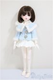 画像6: Dolly House/Rosemary A type 31cm Girl Doll/ A-25-06-18-252-KD-ZA (6)