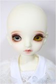 画像2: BJD CROBI/E-Line Tori-MONSHIRO/ A-25-06-18-302-KD-ZA (2)