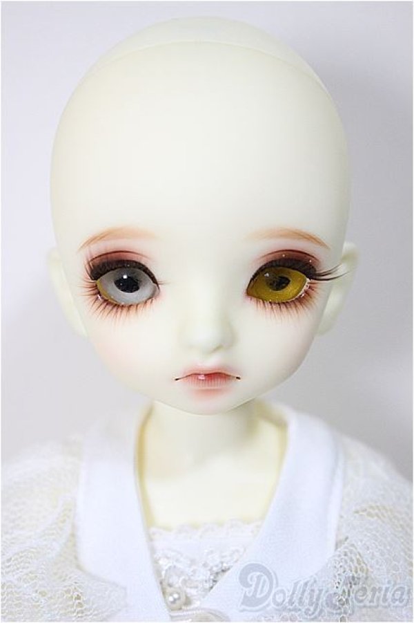 画像2: BJD CROBI/E-Line Tori-MONSHIRO/ A-25-06-18-302-KD-ZA (2)