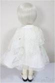 画像6: BJD CROBI/E-Line Tori-MONSHIRO/ A-25-06-18-302-KD-ZA (6)