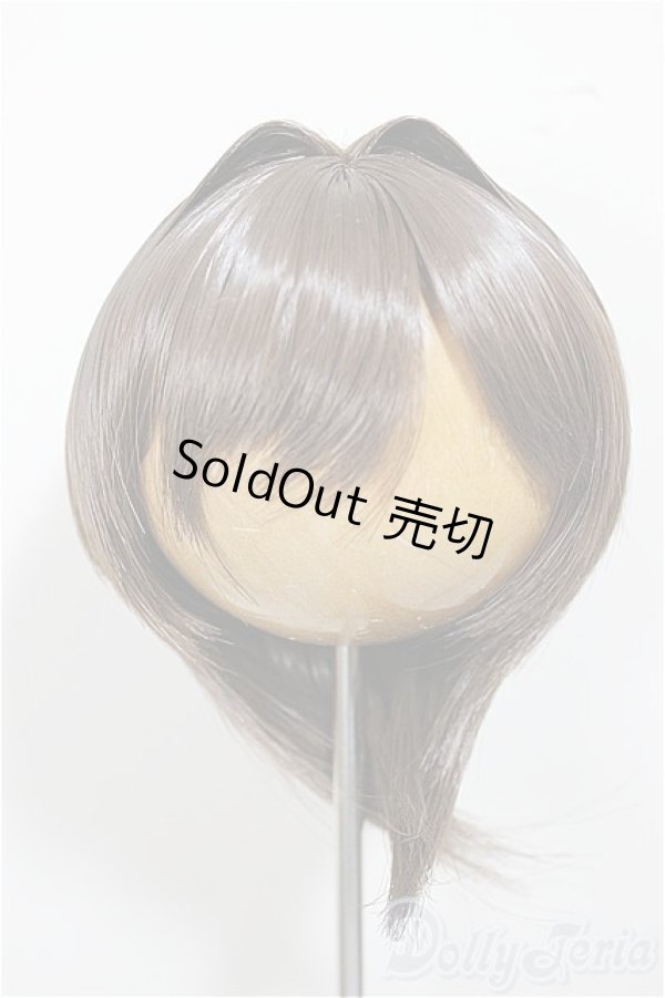 画像1: 8-9inch/ウィッグ/インチ　BJD　MJD　ドール用 A-25-06-25-198-NY-ZA (1)