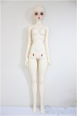 画像6: Angell Studio/Jane/BJD　球体関節人形 A-25-07-02-277-NY-ZA (6)
