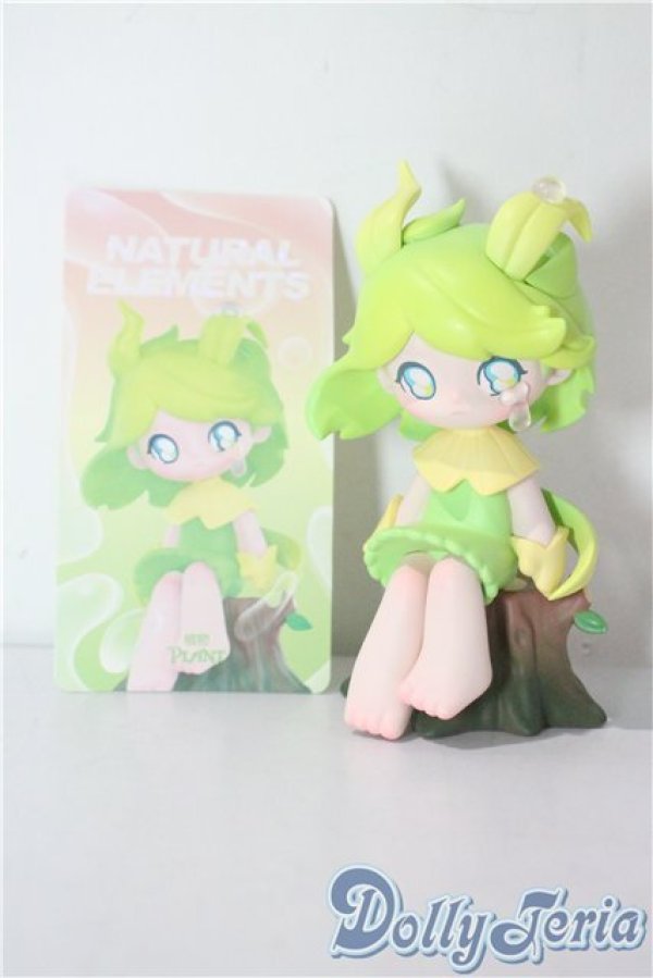 画像2: AZURA /ナチュラル エレメンツ  A-25-07-23-1039-NY-ZU (2)