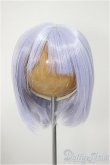 画像1: 8-9inch/ウィッグ　ふにゃほわ様製/0 A-25-08-13-334-NY-ZA (1)