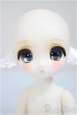 画像2: TinyFox /狐狐神?夢神 フィフレ/ A-25-06-25-400-KD-ZA (2)