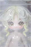 画像1: 不可食用人形 Inedible Doll/月飛び時間シリーズ夢伊/ A-25-07-02-136-KD-ZA (1)