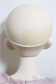 画像4: DDH-06/DDベースボディII/BJD　球体関節人形 A-25-07-02-199-NY-ZA (4)