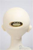 画像5: SD13女の子/ワンオフミカエルsaifa様/BJD　球体関節人形 A-25-07-02-275-NY-ZA (5)