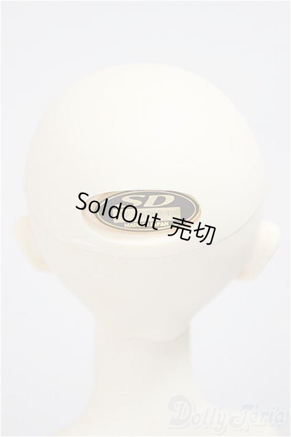 画像5: SD13女の子/ワンオフミカエルsaifa様/BJD　球体関節人形 A-25-07-02-275-NY-ZA (5)