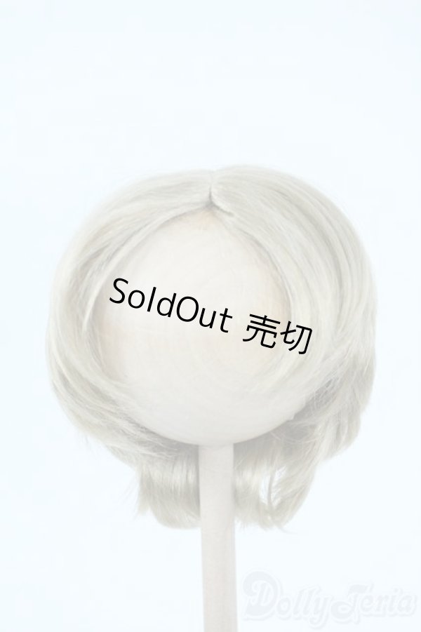 画像1: 8〜9inch/モヘアウィッグ：KamR様製 Y-25-10-29-085-NY-ZY (1)