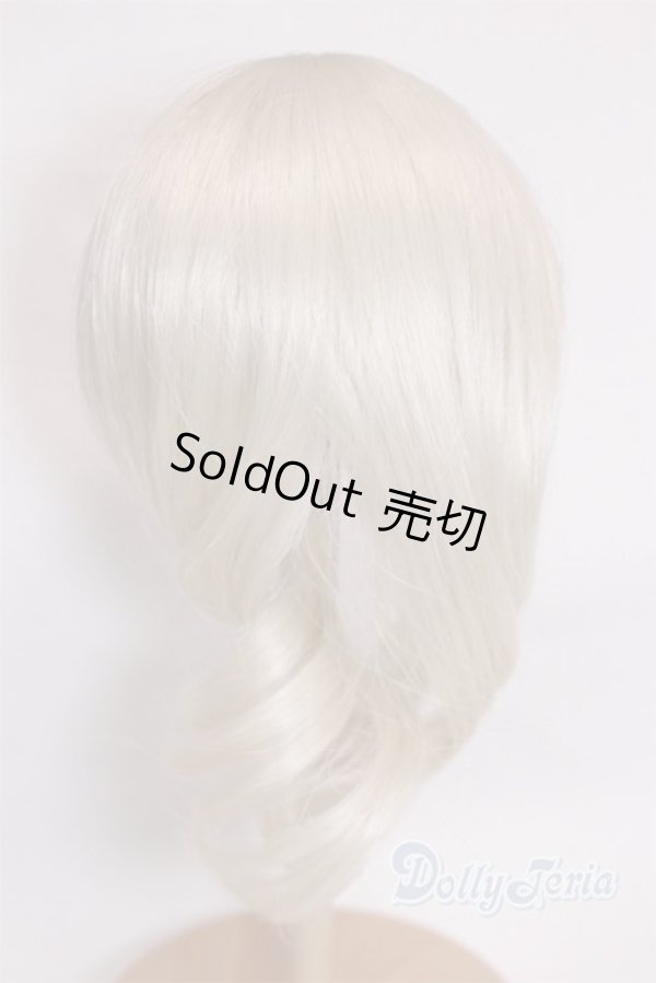 画像2: 9-10inch/ウィッグ/インチ　BJD　MJD　ドール用 A-25-11-12-086-KD-ZA (2)