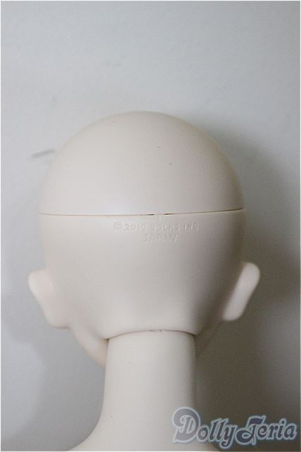 画像7: DDS/アナスタシア/BJD 球体関節人形 A-25-07-02-397-NY-ZA (7)