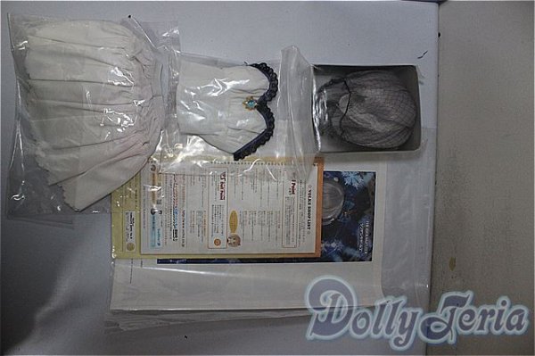 画像9: DDS/アナスタシア/BJD 球体関節人形 A-25-07-02-397-NY-ZA (9)