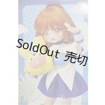 画像: ちみっこDD/アルル/BJD　球体関節人形 A-25-07-02-395-NY-ZA