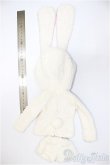 画像2: MDD/OF:衣装セット　うさみみ/0 A-25-07-09-222-KD-ZA (2)