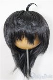 画像1: 8.5inch/ウィッグ/インチ　BJD　MJD　ドール用 A-25-07-09-242-KD-ZA (1)