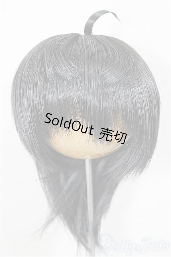 画像1: 8.5inch/ウィッグ/インチ　BJD　MJD　ドール用 A-25-07-09-242-KD-ZA (1)