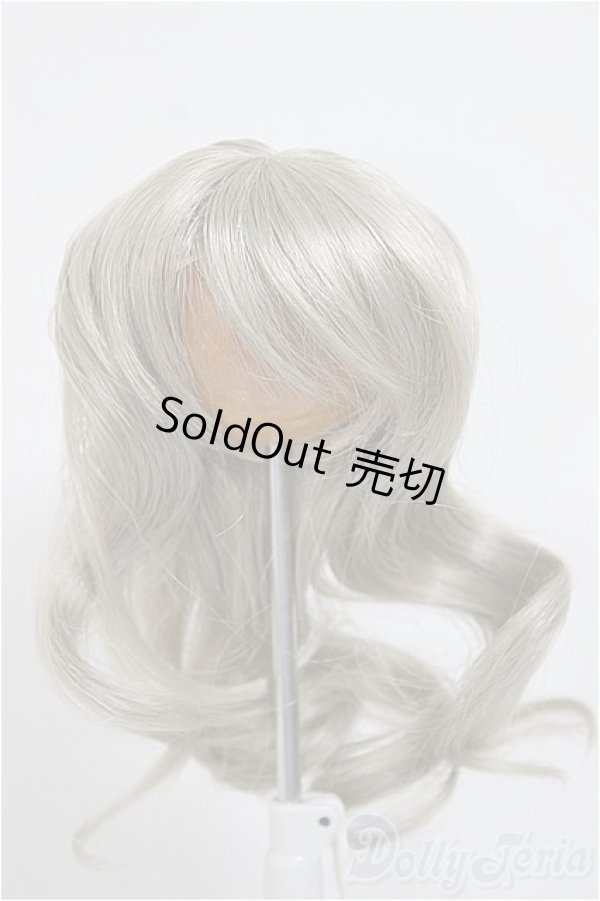画像1: 6-7inch/ウィッグ/インチ　BJD　MJD　ドール用 A-25-07-09-307-NY-ZA (1)