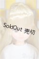 画像: リカちゃんキャッスル/2019年S サマーコレクション モデル/BJD　球体関節人形 A-25-07-09-156-NY-ZA
