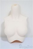 画像1: DDS/上半身パーツ/0 A-25-07-09-301-TO-ZA (1)