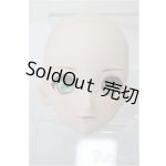 画像: DD/DC-H-16　ヘッド/BJD　球体関節人形 A-25-07-16-109-NY-ZA