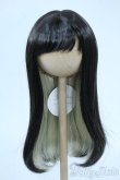画像1: 8-9inch/ウィッグ Y-25-10-29-090-TO-ZY (1)