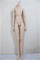 画像: DDB/ベースボディ/BJD　球体関節人形 A-25-07-23-185-NY-ZA