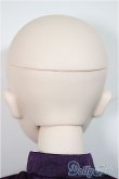 画像5: DD/ルーラー/ジャンヌ・ダルク/BJD　球体関節人形 A-25-07-30-150-NY-ZA (5)