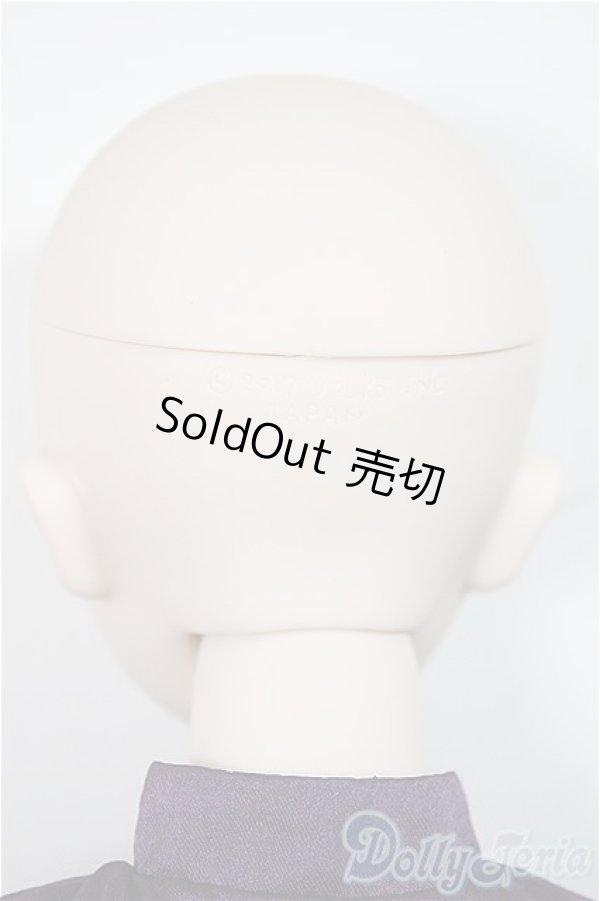 画像5: DD/ルーラー/ジャンヌ・ダルク/BJD 球体関節人形 A-25-07-30-150-NY-ZA (5)