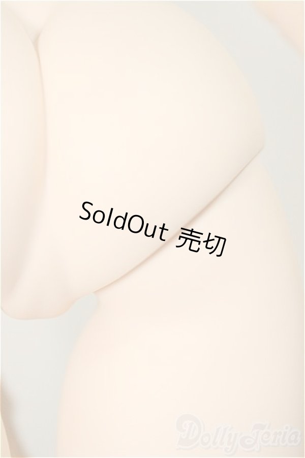 画像9: DD/ルーラー/ジャンヌ・ダルク/BJD 球体関節人形 A-25-07-30-150-NY-ZA (9)