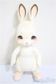 画像1: cocoriang/tobi/BJD　球体関節人形 A-25-07-23-288-NY-ZA (1)