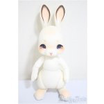 画像: cocoriang/tobi/BJD　球体関節人形 A-25-07-23-288-NY-ZA